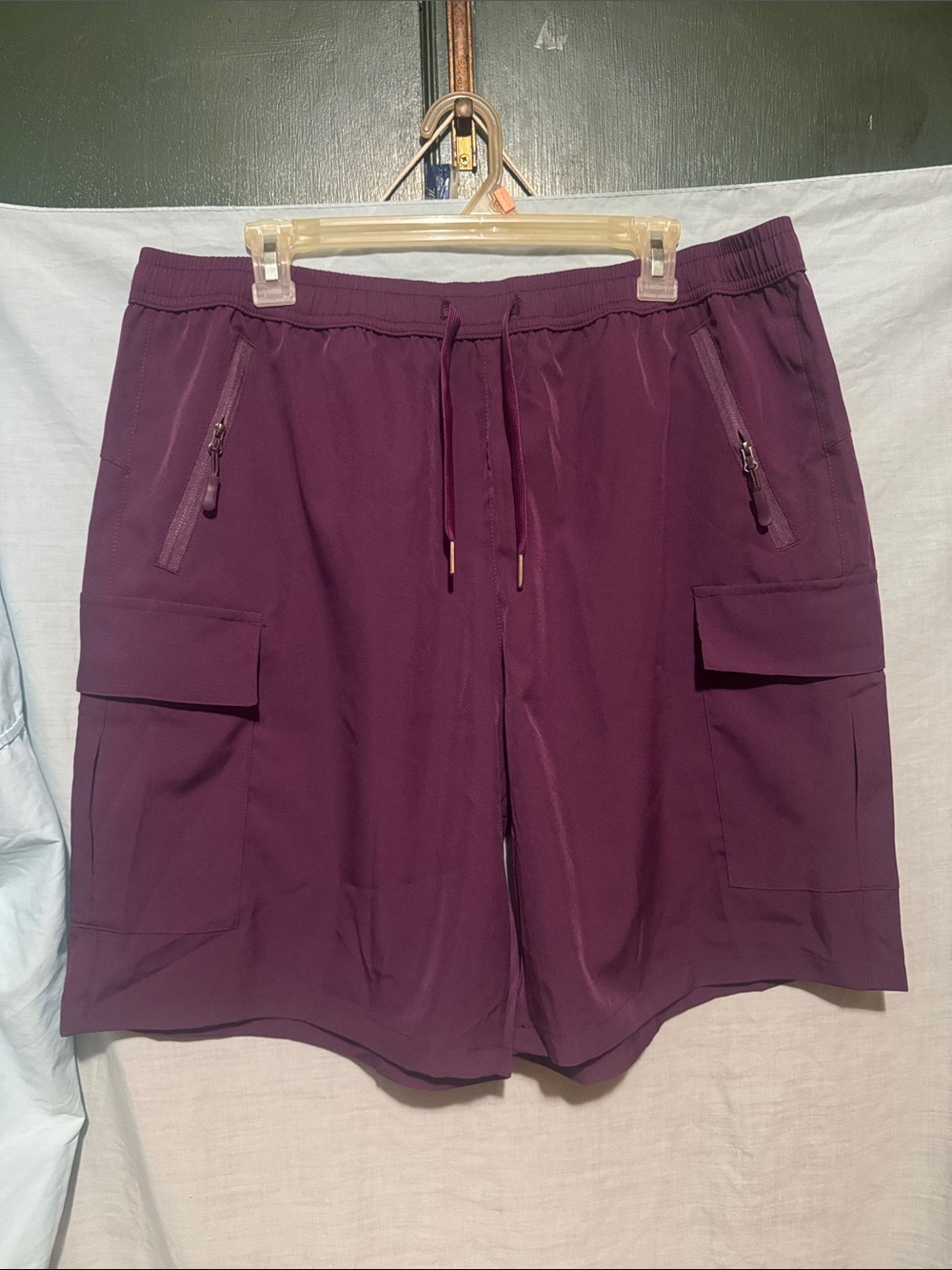 Dark Plum Hiking Shorts NWOT